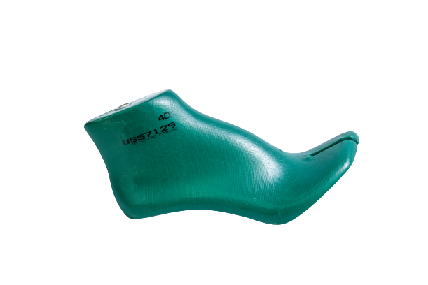 Plastic Shoe Last